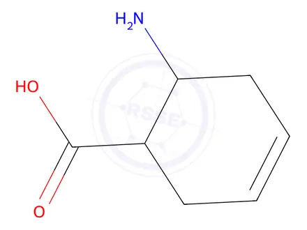 Chemical structure of (1R,6S)-6-Aminocyclohex-3-enecarboxylic acid