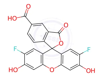 Chemical structure of Oregon Green 488 Carboxylic Acid