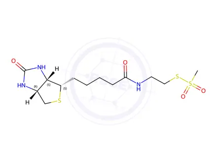 Chemical structure of N-Biotinylaminoethyl methanethiosulfonate, 96%