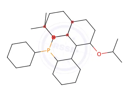 Chemical structure of RuPhos Pd G1 Methyl t-Butyl Ether Adduct