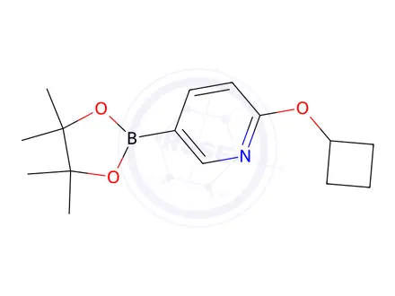 Chemical structure of 2-Cyclobutoxy-5-(4,4,5,5-tetramethyl-1,3,2-dioxaborolan-2-yl)pyridine