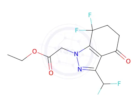 Chemical structure of Ethyl 2-(3-(difluoromethyl)-7,7-difluoro-4-oxo-4,5,6,7-tetrahydro-1H-indazol-1-yl)acetate