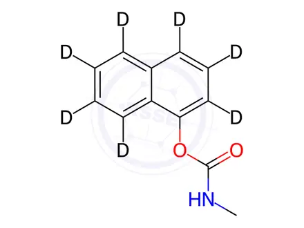 Chemical structure of Carbaryl-[D7]