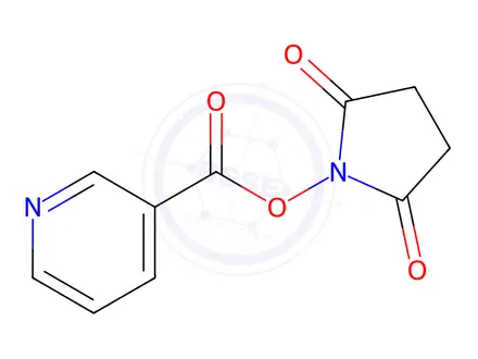 Chemical structure of Nicotinic Acid N-Hydroxysuccinimide Ester