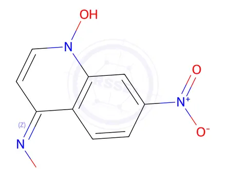 Chemical structure of 7-Nitro-4-hydroxylaminoquinoline 1-oxide