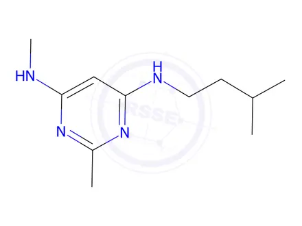 Chemical structure of N4-Isopentyl-N6,2-dimethylpyrimidine-4,6-diamine