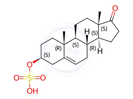 Chemical structure of Dehydroepiandrosterone sulfate