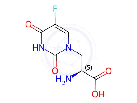 Chemical structure of (S)-(-)-5-Fluorowillardiine