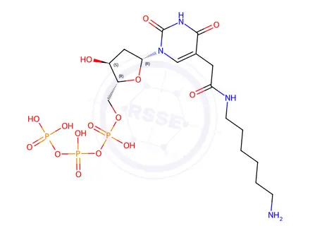 Chemical structure of 5-[2-[(6-Aminohexyl)amino]-2-oxoethyl]-2'-deoxyuridine 5’-(Tetrahydrogen Triphosphate)