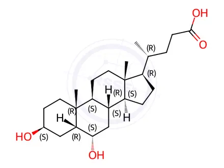 Chemical structure of β-Hyodeoxycholic acid