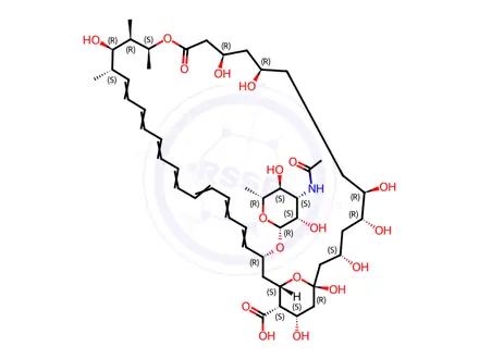 Chemical structure of N-acetyl Amphotericin B