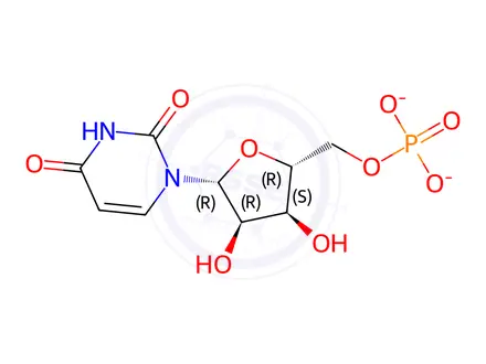 Chemical structure of Uridine 5'-Monophosphate Disodium Salt ·X Hydrate