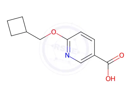 Chemical structure of 6-(Cyclobutylmethoxy)nicotinic acid
