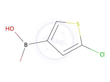 Chemical structure of 5-Chlorothiophene-3-boronic acid