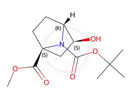 Chemical structure of o7-Tert-butylo1-methylexo-3-hydroxy-7-azabicyclo[2.2.1]heptane-1,7-dicarboxylate