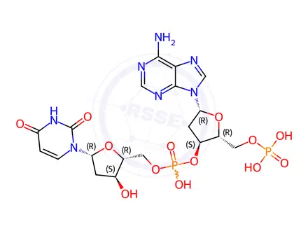 Chemical structure of POLY(2'-DEOXYINOSINIC-2'-DEOXYCYTIDYLIC ACID) SODIUM SALT