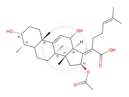 Chemical structure of 9,11-Anhydro-12-hydroxy Fusidic Acid