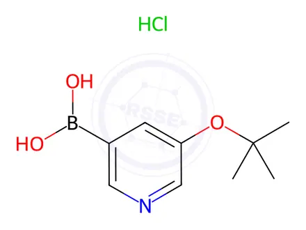 Chemical structure of (5-(tert-Butoxy)pyridin-3-yl)boronic acid hydrochloride