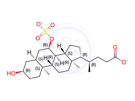 Chemical structure of Chenodeoxycholic acid 7-sulfate disodium salt