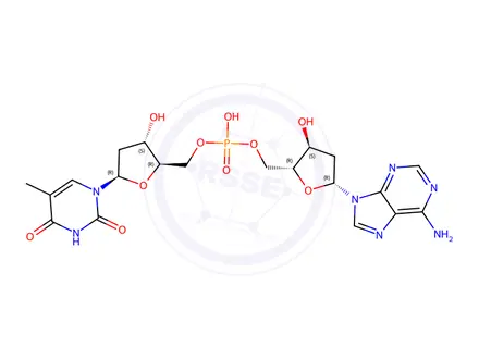 Chemical structure of 2'-deoxyadenylyl-(3'-5')-thymidine