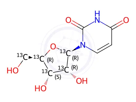 Chemical structure of [1',2',3',4',5'-13C5]uridine