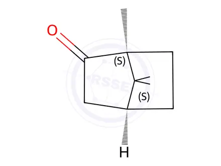 Chemical structure of (-)-Camphor