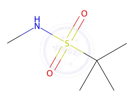 Chemical structure of N,2-dimethylpropane-2-sulfonamide