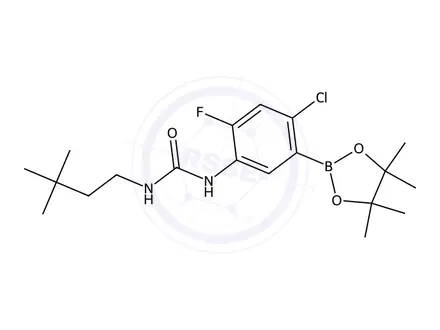 Chemical structure of 1-(4-Chloro-2-fluoro-5-(4,4,5,5-tetramethyl-1,3,2-dioxaborolan-2-yl)phenyl)-3-(3,3-dimethylbutyl)urea