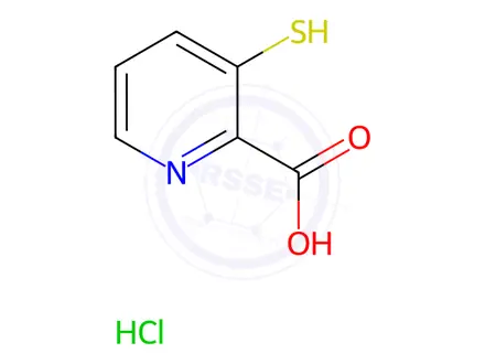 Chemical structure of 3-Mercaptopicolinic Acid Hydrochloride