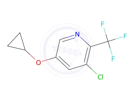 Chemical structure of 3-Chloro-5-cyclopropoxy-2-(trifluoromethyl)pyridine