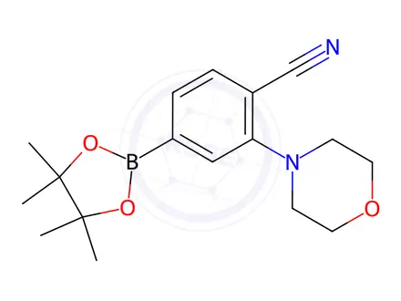 Chemical structure of 4-Cyano-3-morpholinophenylboronic acid pinacol ester