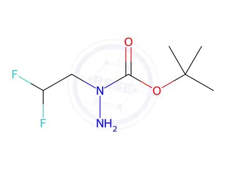 Chemical structure of N-(2,2-difluoroethyl)(tert-butoxy)carbohydrazide