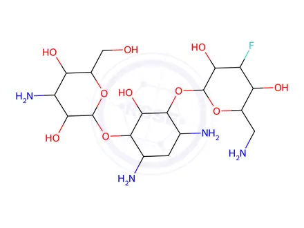 Chemical structure of 3'-deoxy-3'-fluorokanamycin A