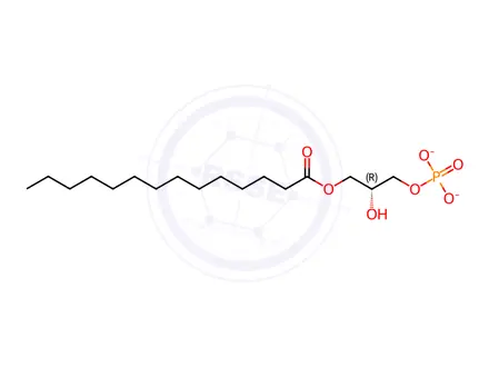 Chemical structure of 14:0 Lyso PA