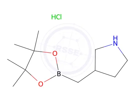 Chemical structure of 3-((4,4,5,5-Tetramethyl-1,3,2-dioxaborolan-2-yl)methyl)pyrrolidine hydrochloride