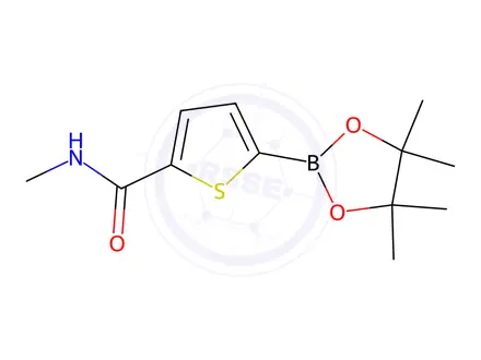 Chemical structure of N-Methyl-5-(4,4,5,5-tetramethyl-1,3,2-dioxaborolan-2-yl)thiophene-2-carboxamide
