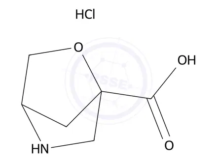 Chemical structure of 2-oxa-5-azabicyclo[2.2.1]heptane-1-carboxylic acid;hydrochloride