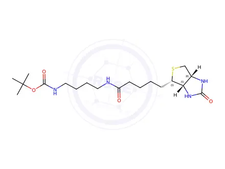 Chemical structure of {4-[5-(2-oxo-hexahydro-thieno[3,4-d]imidazol-4-yl)-pentanoylamino]-butyl}-carbamic acid tert-butyl ester