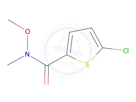 Chemical structure of 5-Chloro-N-methoxy-n-methylthiophene-2-carboxamide