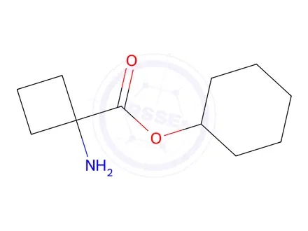 Chemical structure of Cyclohexyl 1-aminocyclobutane-1-carboxylate