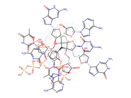 Chemical structure of d(GATGCATC)2