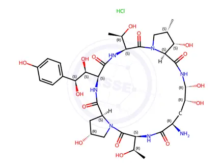 Chemical structure of 1-[(4R,5R)-4,5-Dihydroxy-L-ornithine]-Echinocandin B Hydrochloride