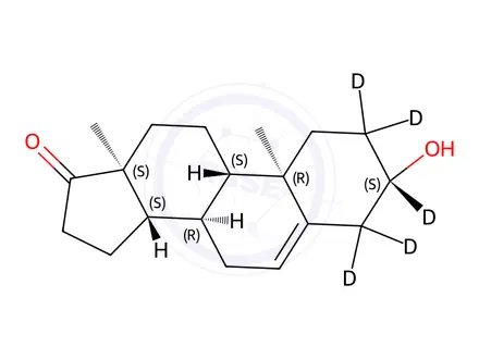 Chemical structure of Dehydroepiandrosterone-[D5] (2,2,3,4,4-[D5])