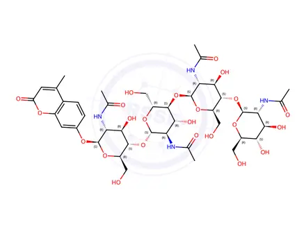 Chemical structure of 4-Methylumbelliferyl N-N-N-N-tetraacetyl-β-D-chitotetraoside