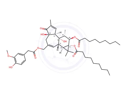 Chemical structure of PDNHV