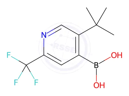 Chemical structure of (5-(Tert-butyl)-2-(trifluoromethyl)pyridin-4-yl)boronic acid
