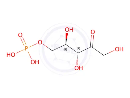 Chemical structure of D-Ribulose 5-phosphate disodium salt