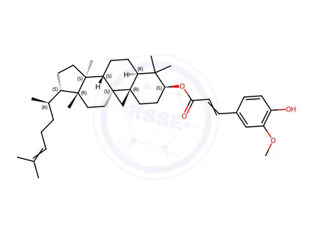 Chemical structure of Oryzanol A (Cycloartenyl Ferulate)