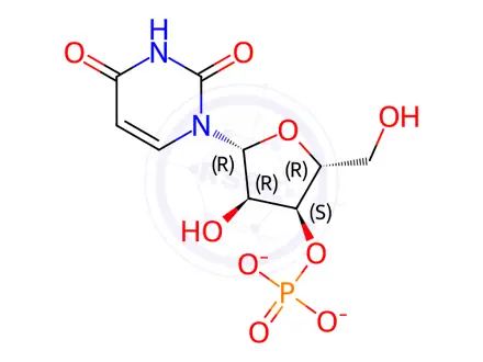 Chemical structure of Uridine 3'-Monophosphate Disodium Salt