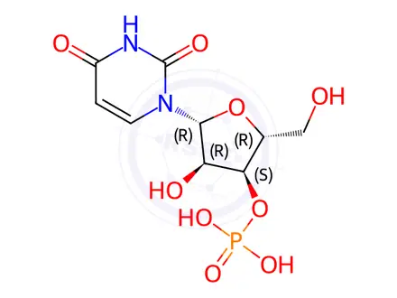 Chemical structure of Uridine (Adenosine EP Impurity F, Cytarabine EP Impurity B)